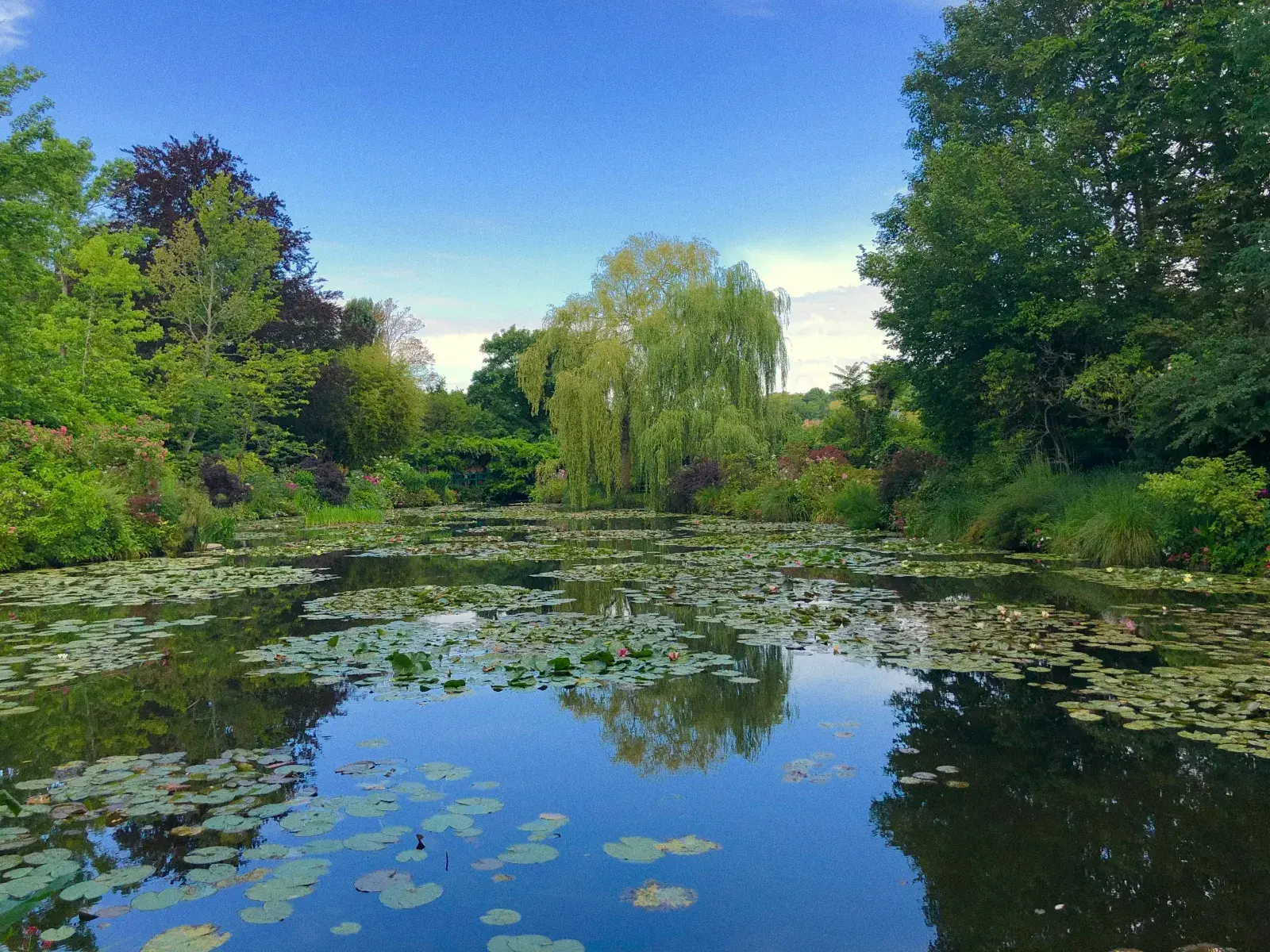 Claude Monet Experience